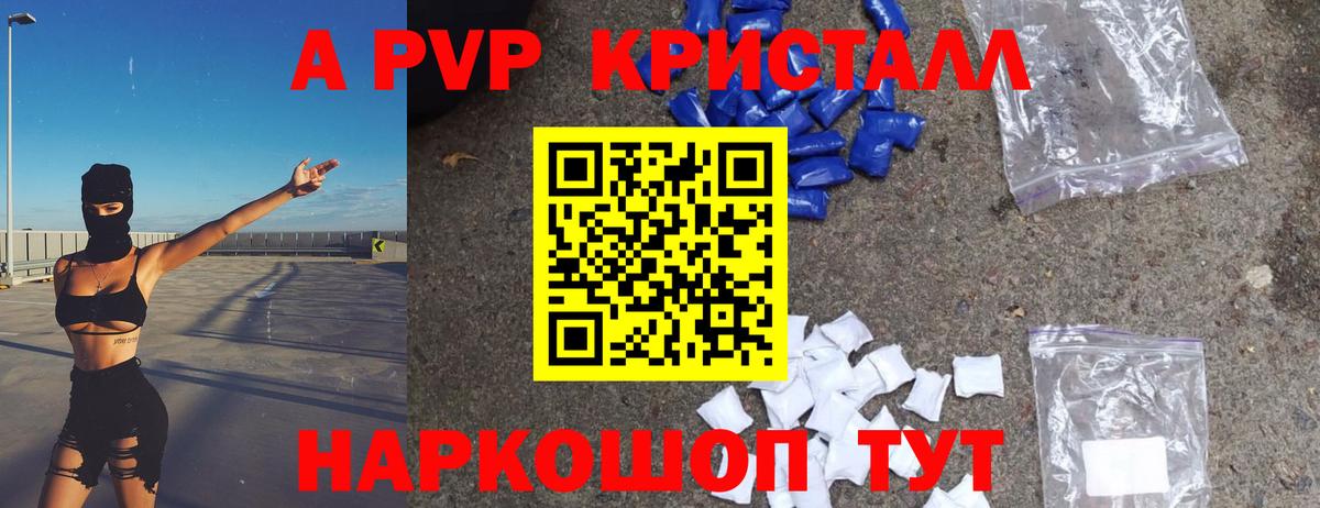 Alfa_PVP СК Коряжма