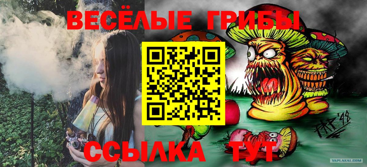 Коряжма  Галлюциногенные грибы мицелий  Галлюциногенные грибы MAGIC MUSHROOMS  Вход с VPN 